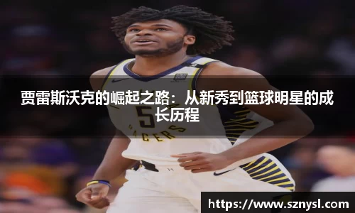 星空xk官网