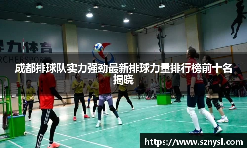 成都排球队实力强劲最新排球力量排行榜前十名揭晓