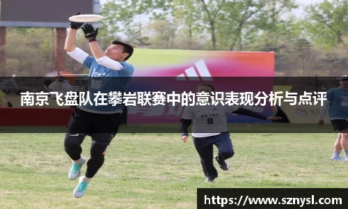 南京飞盘队在攀岩联赛中的意识表现分析与点评
