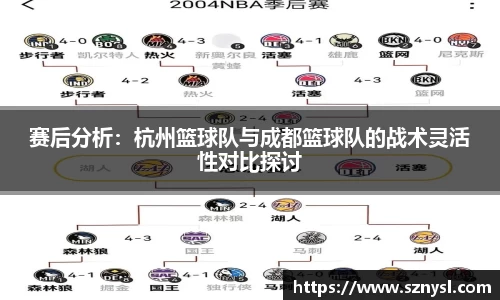 赛后分析：杭州篮球队与成都篮球队的战术灵活性对比探讨